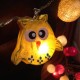 Hooty Owls  - 20 Lamps<br />Rainbow Colours  Pre-order dispatch 30 Nov 24